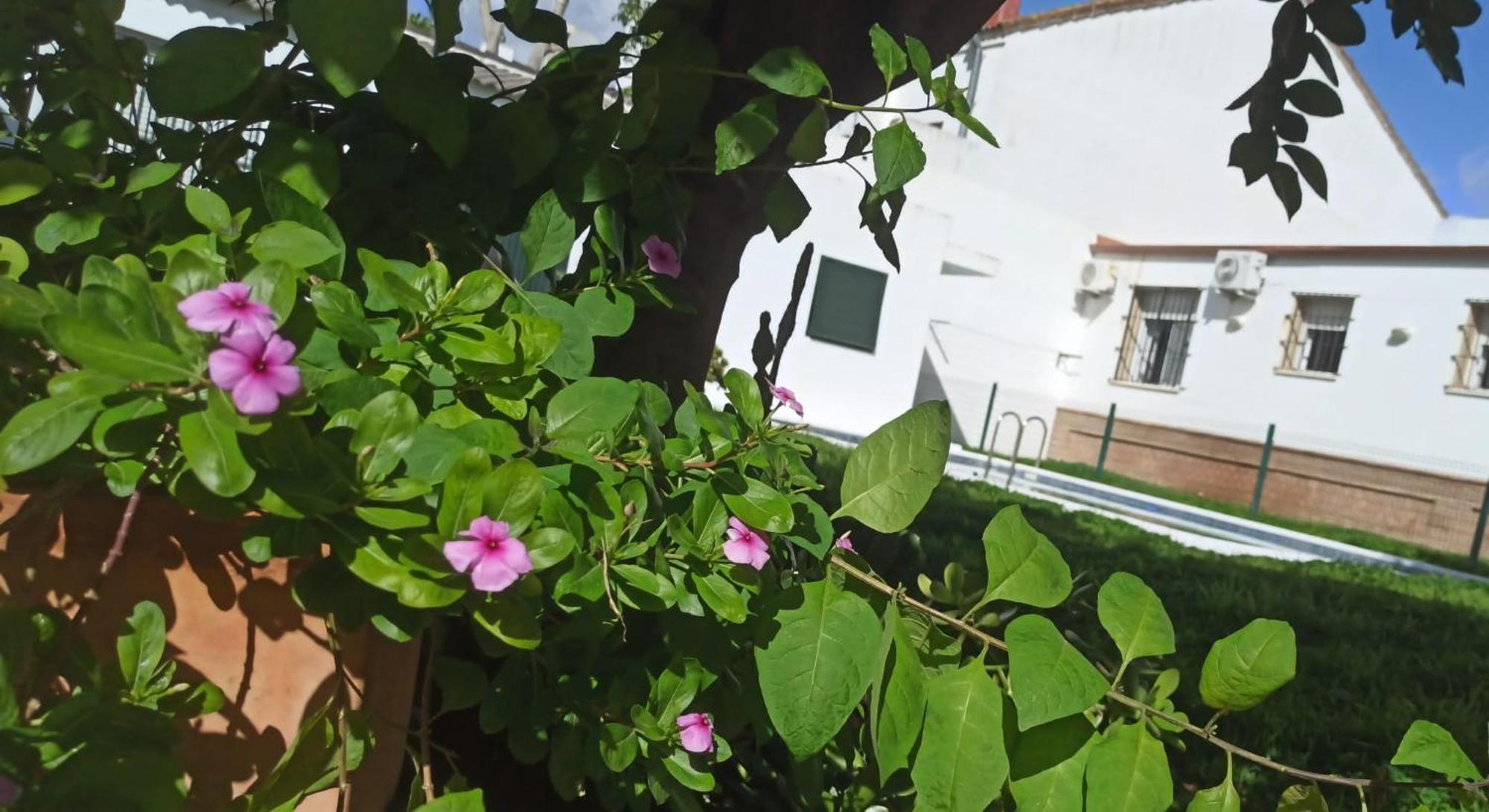 Casa Turquesa Villa Valencina de la Concepción Exterior foto